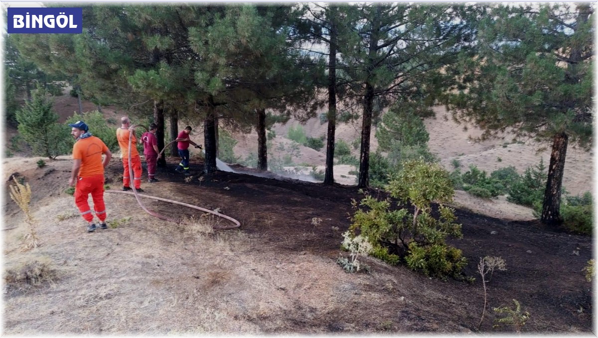 Bingöl'de otluk yangını