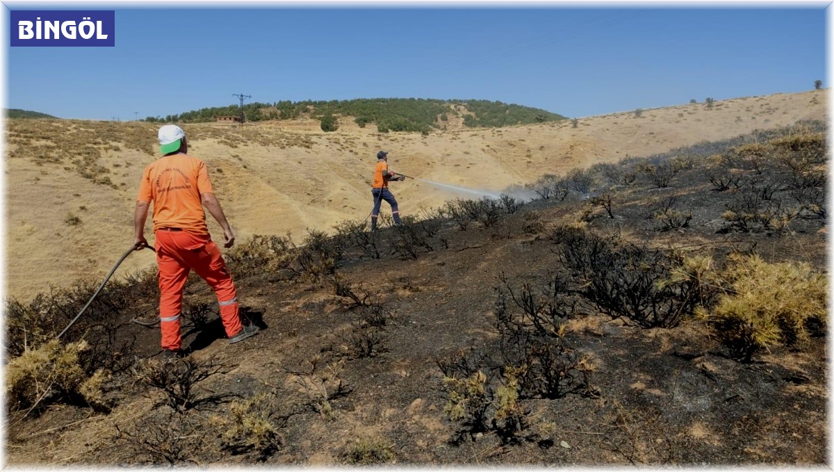 Bingöl'de otluk yangını ormana sıçramadan söndürüldü