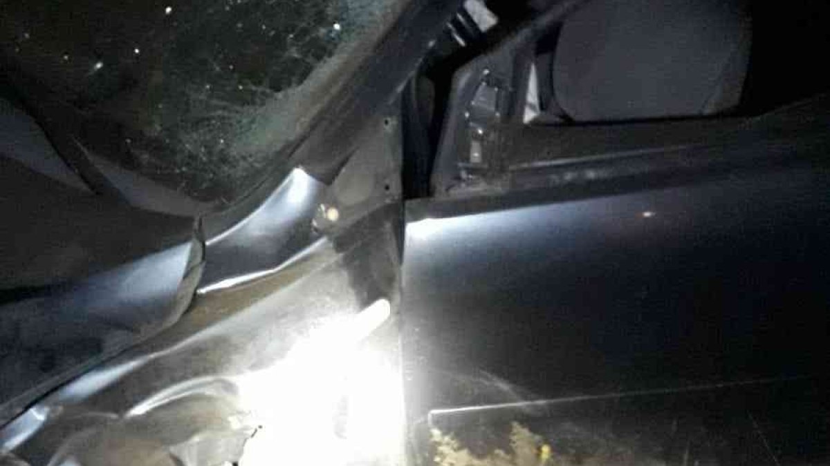 Bingöl'de otomobil ineğe çarptı: 7 yaralı