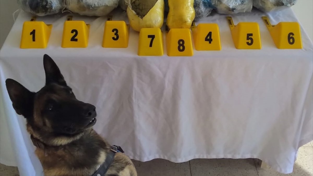 Bingöl'de otomobilde 8 kilogram esrar ele geçirildi