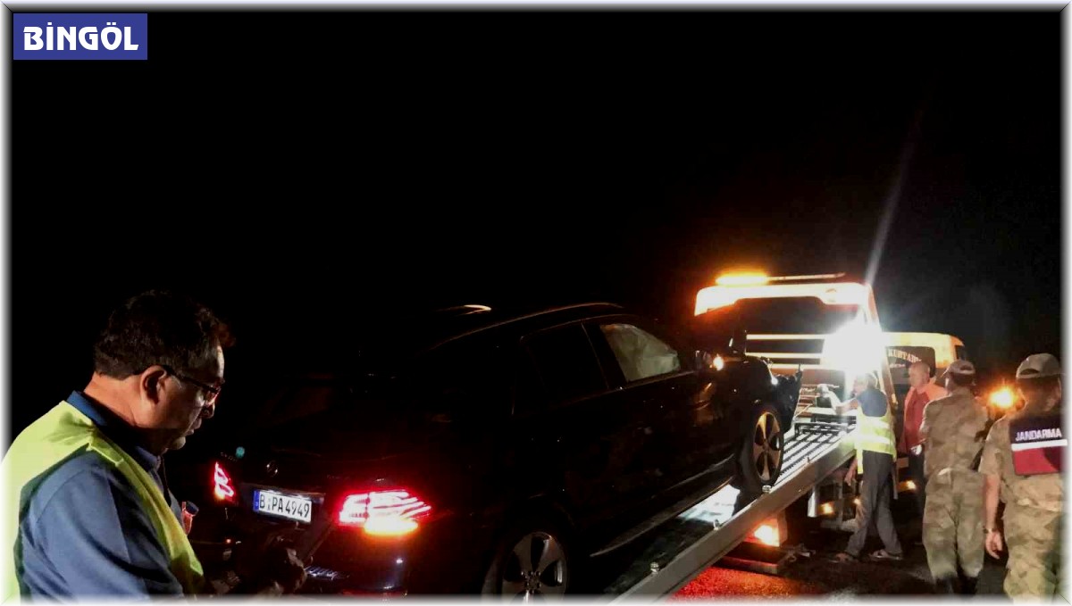 Bingöl'de otomobilin çarptığı inek telef oldu