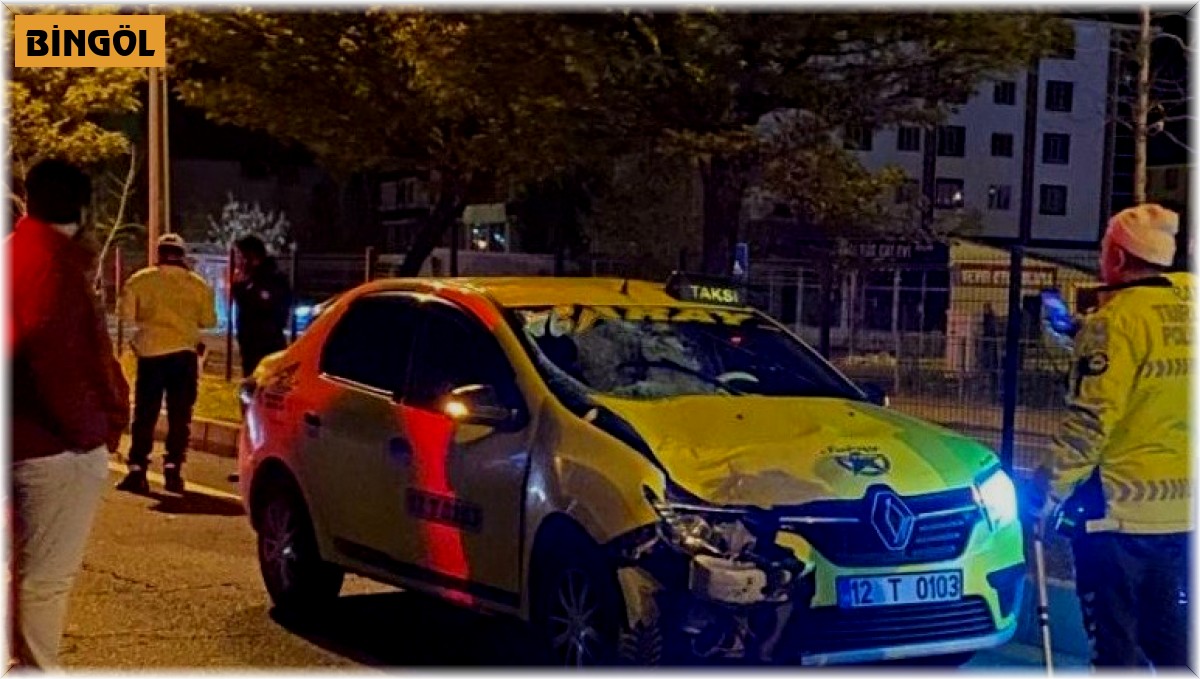 Bingöl'de otomobilin çarptığı yaşlı adam öldü