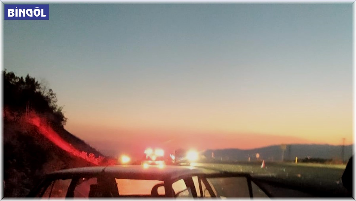 Bingöl'de otomobilin çarptığı zihinsel engelli şahıs hayatını kaybetti