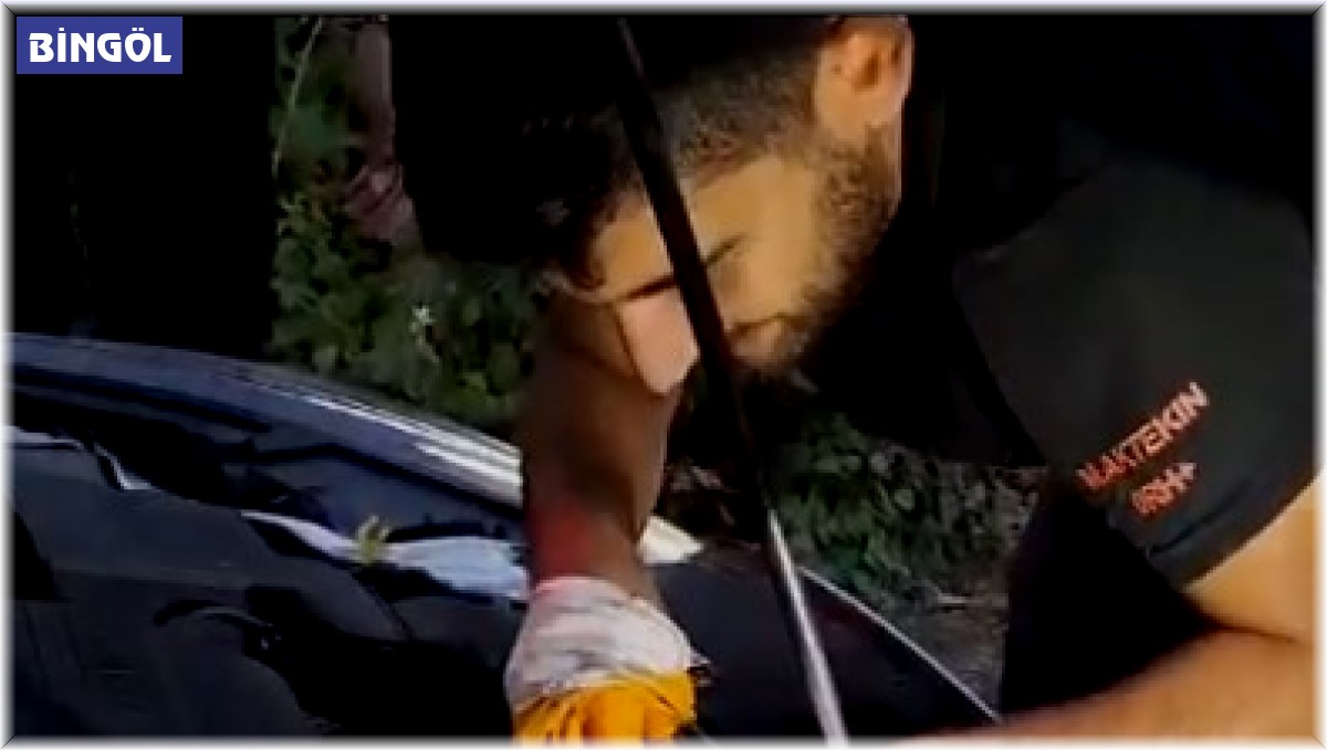 Bingöl'de otomobilin motor kısmına giren yavru kediyi itfaiye çıkardı