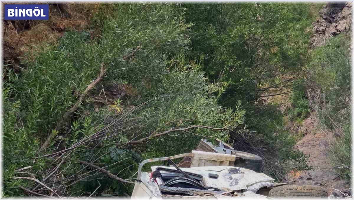 Bingöl'de pikap şarampole yuvarlandı: 2 ölü, 1 yaralı