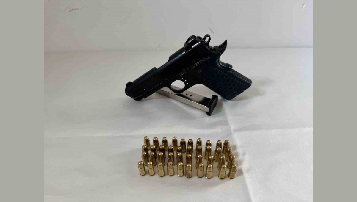 Bingöl'de ruhsatsız silah operasyonu