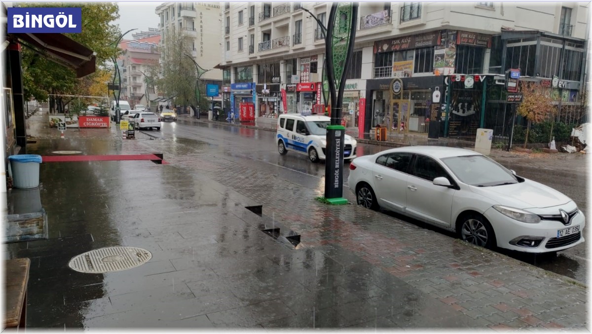 Bingöl'de sağanak yağış etkili oldu