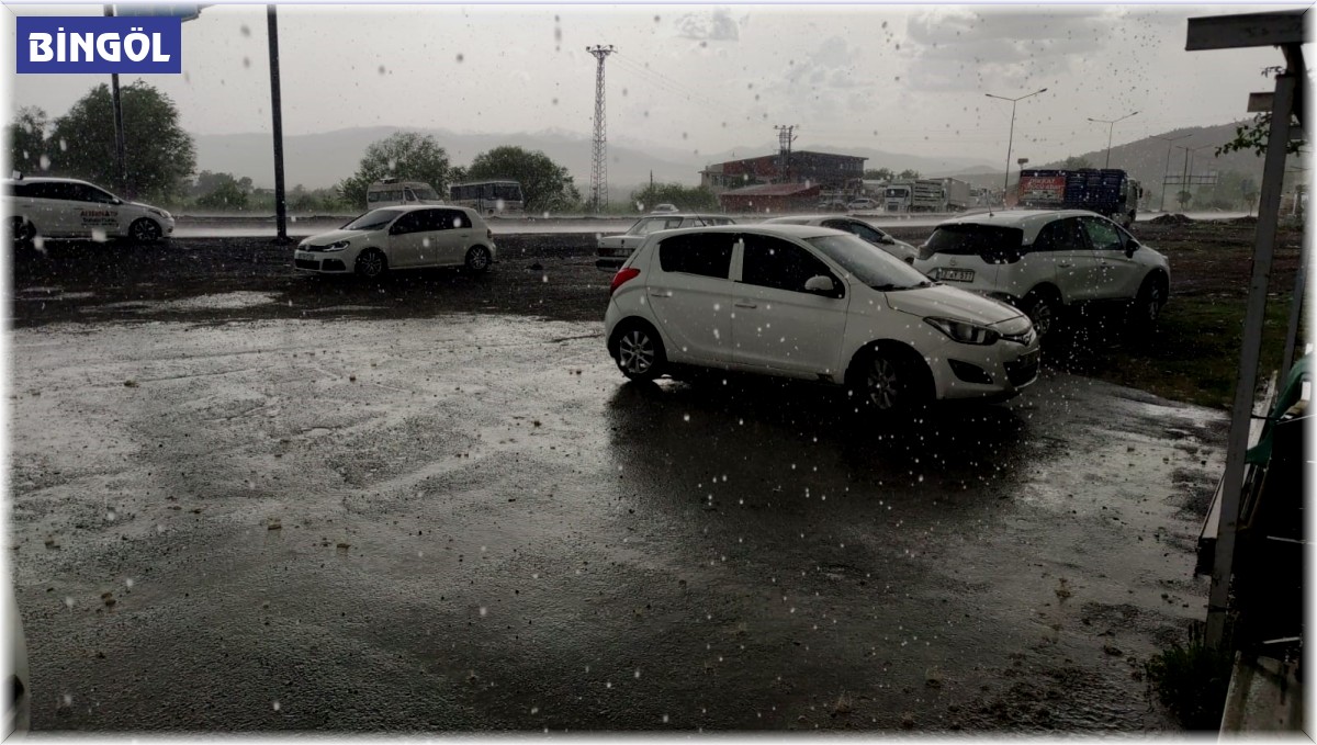 Bingöl'de sağanak yağış etkili oldu