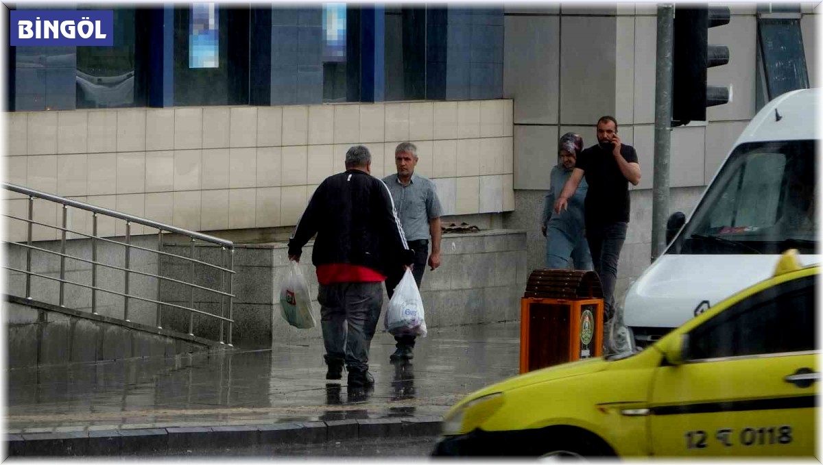 Bingöl'de sağanak yağış etkili oldu
