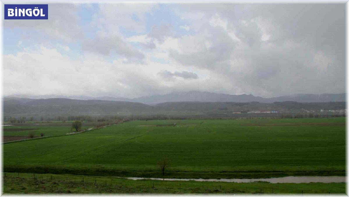 Bingöl'de sağanak yağış sonrası tarım arazileri incelendi