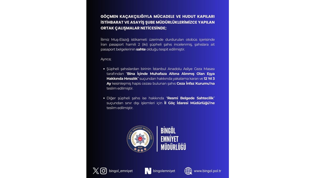 Bingöl'de sahte pasaportlu 2 şüpheli yakalandı