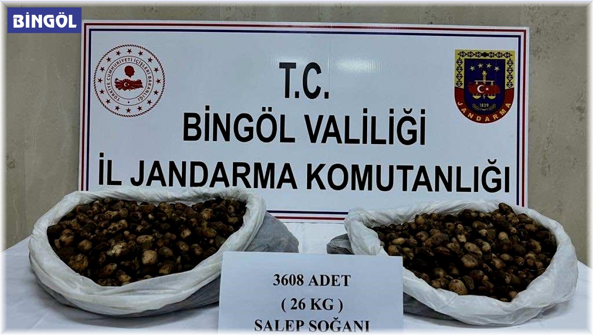 Bingöl'de salep soğanı toplayan şahıslara 488 bin 630 lira para cezası kesildi