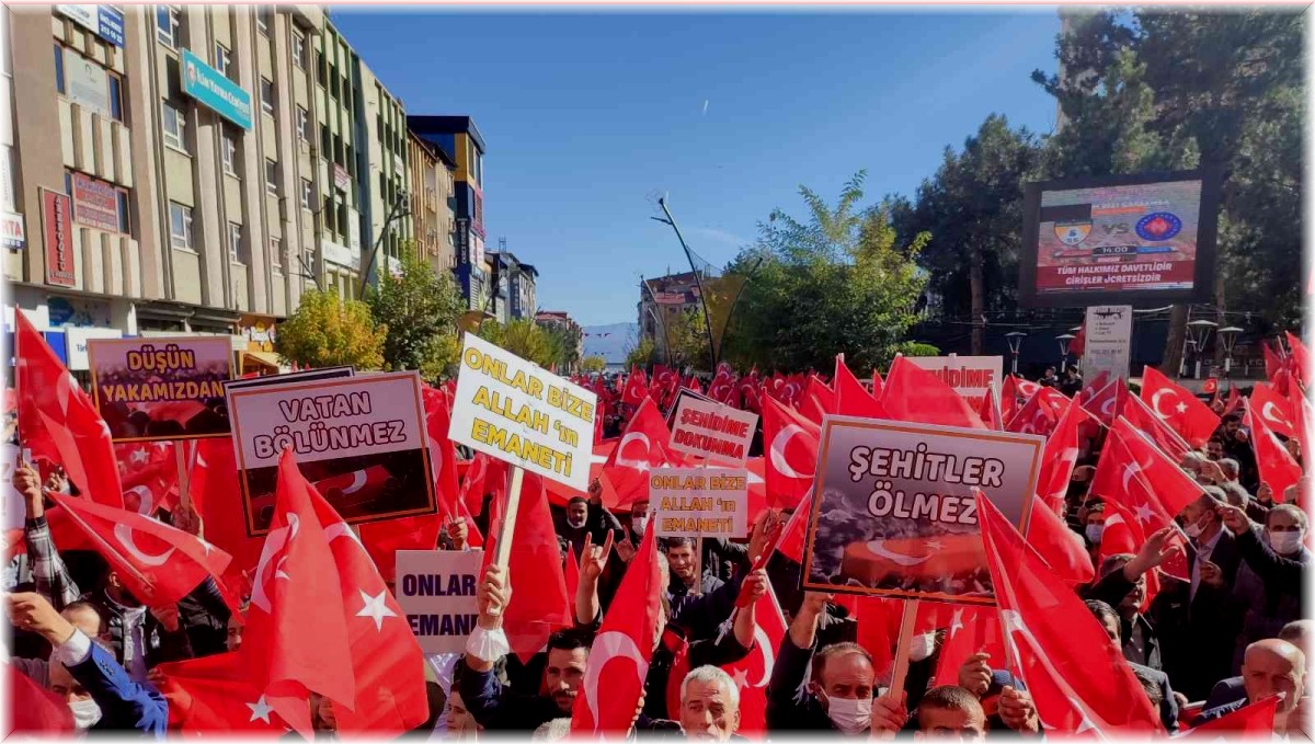Bingöl'de şehide saygı, Lütfü Türkkan'a tepki mitingi