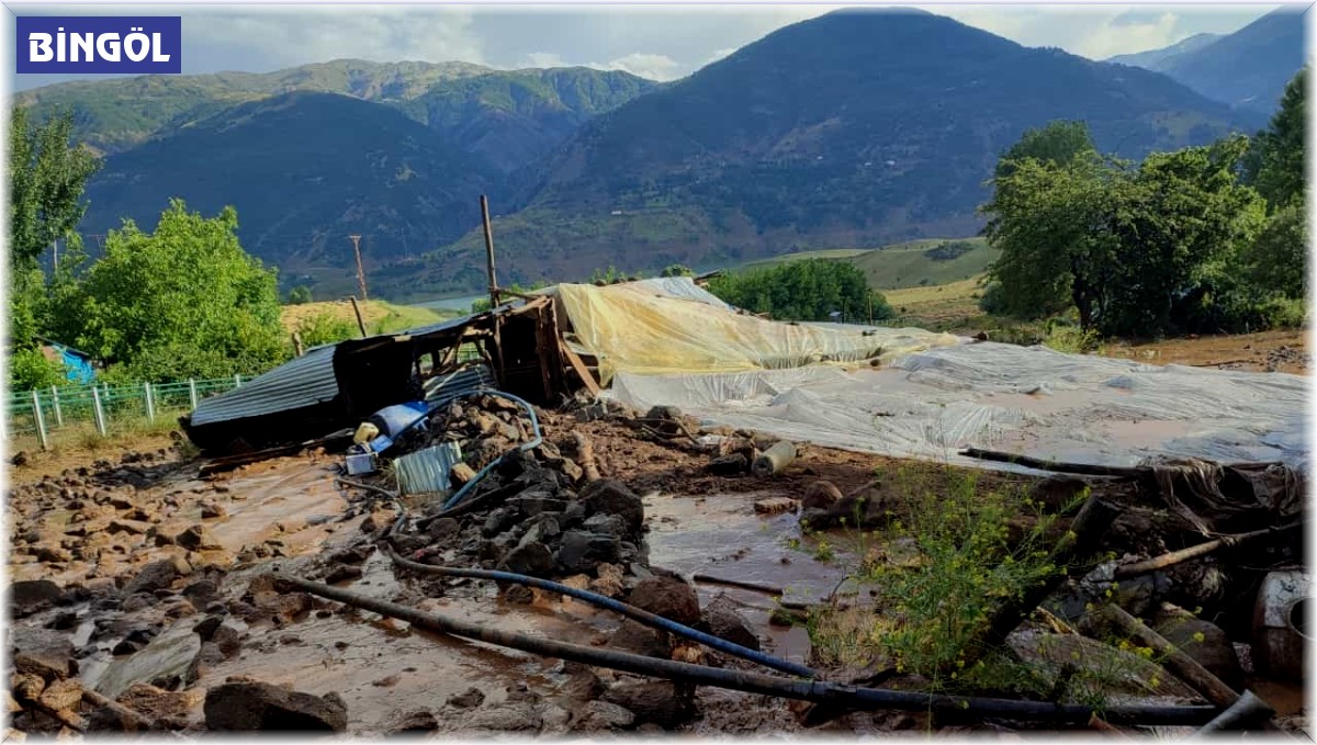 Bingöl'de sel felaketinde 6 ahır zarar gördü, 4 büyükbaş hayvan telef oldu