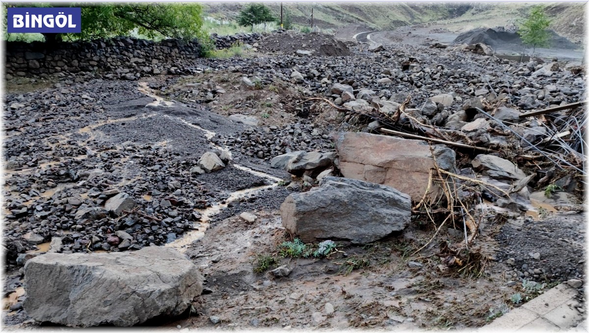 Bingöl'de sel taşkını köyü susuz bıraktı