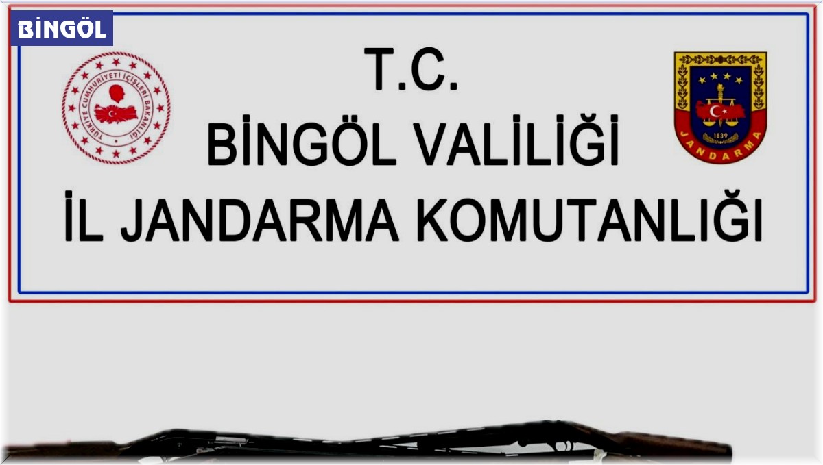 Bingöl'de silah kaçakçılığı operasyonu: 1 gözaltı