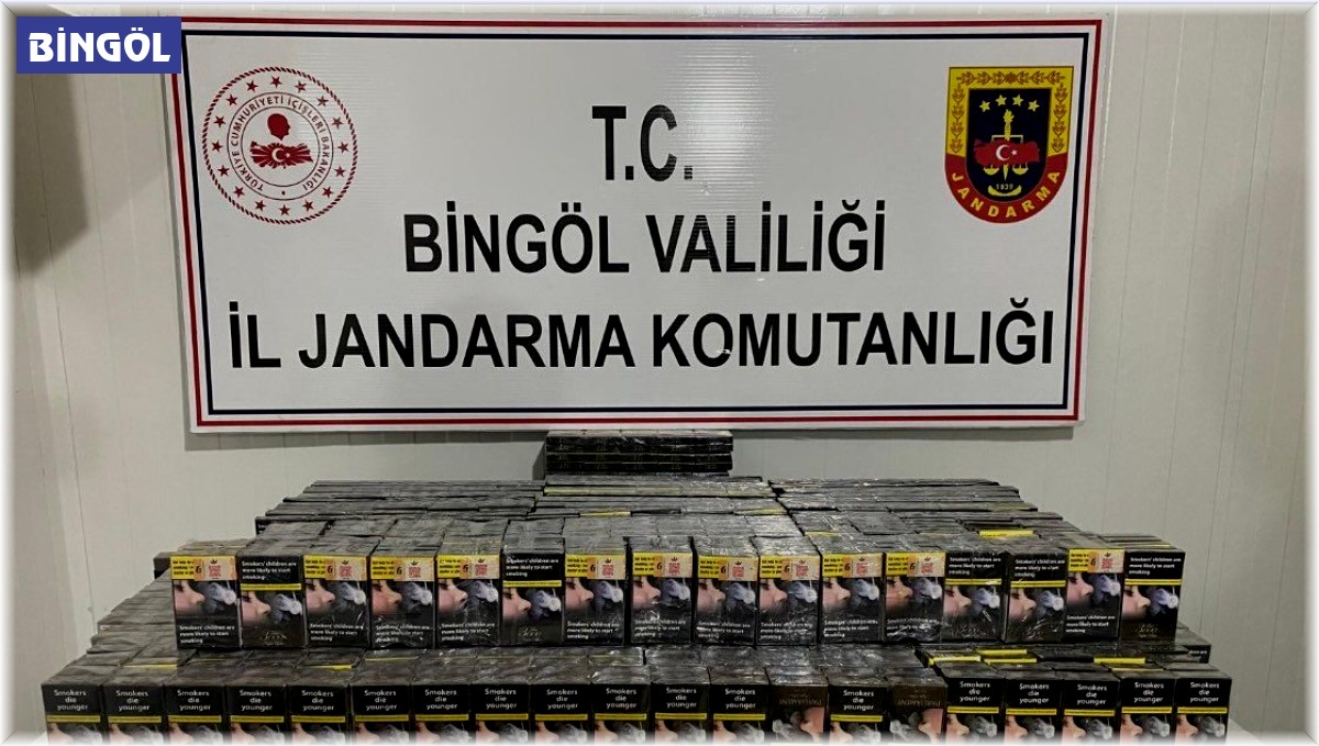 Bingöl'de silah ve kaçak sigara ele geçirildi