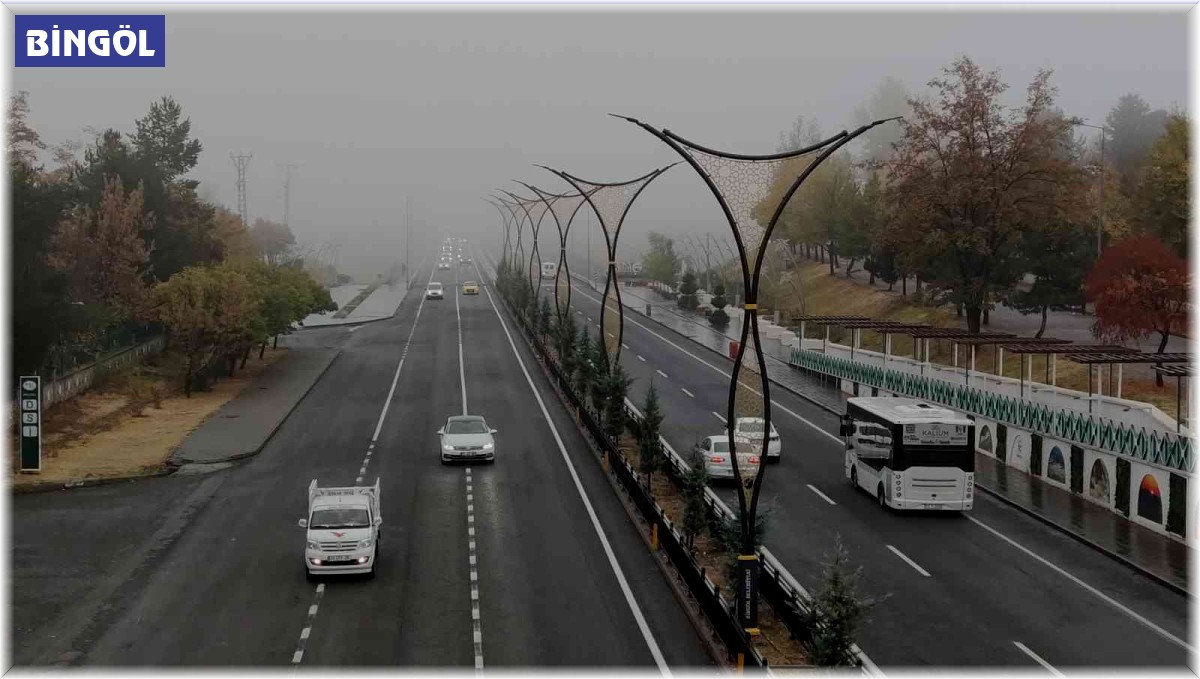 Bingöl'de sis etkili oldu