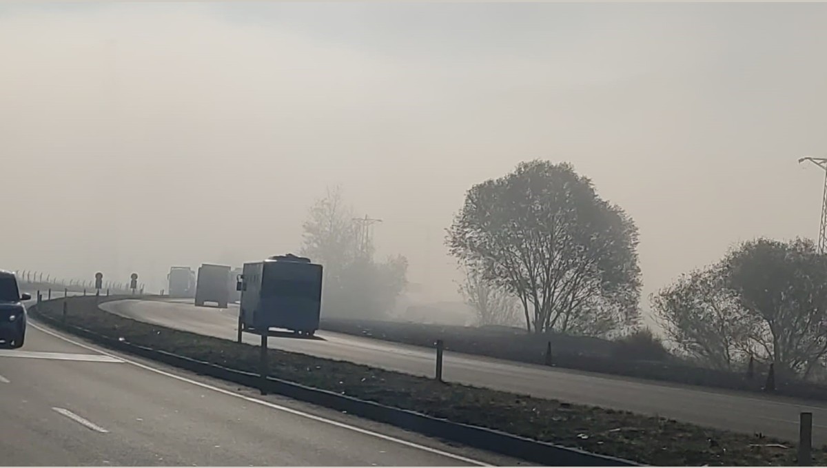 Bingöl'de sis etkili oldu