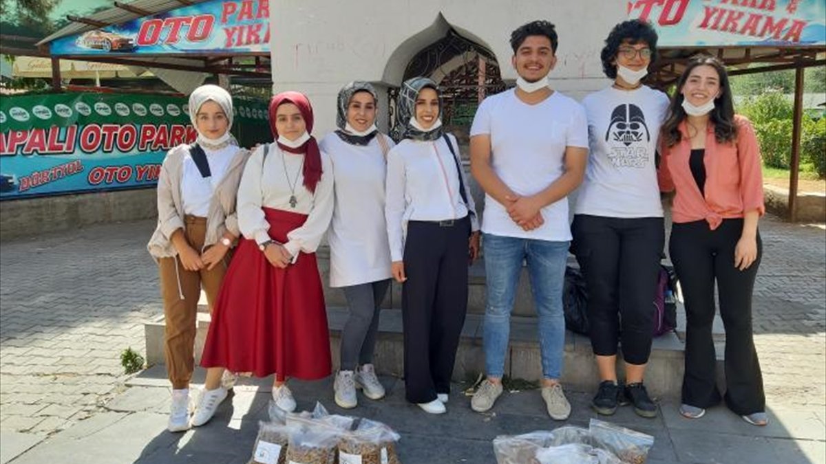 Bingöl'de sokak kedileri için bazı noktalara mama bırakıldı