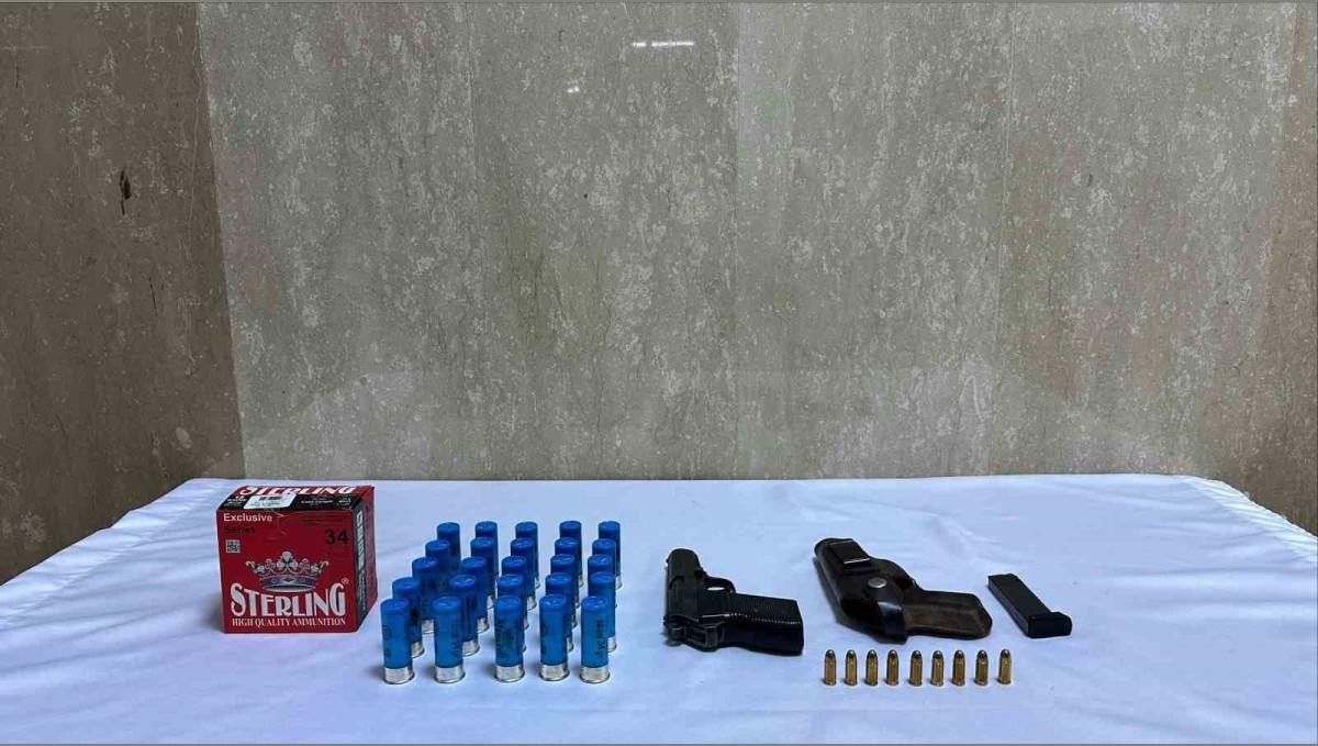 Bingöl'de tabanca ve fişek ele geçirildi