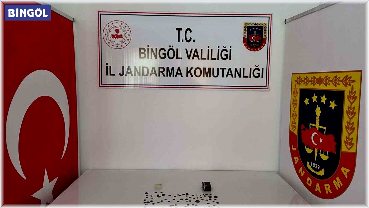 Bingöl'de tarihi eser operasyonu