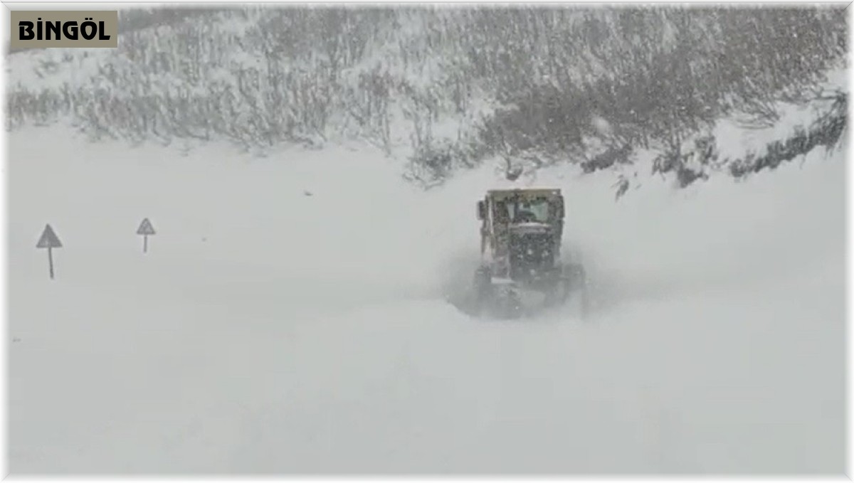 Bingöl'de tipi, açılan köy yollarını yeniden ulaşıma kapattı