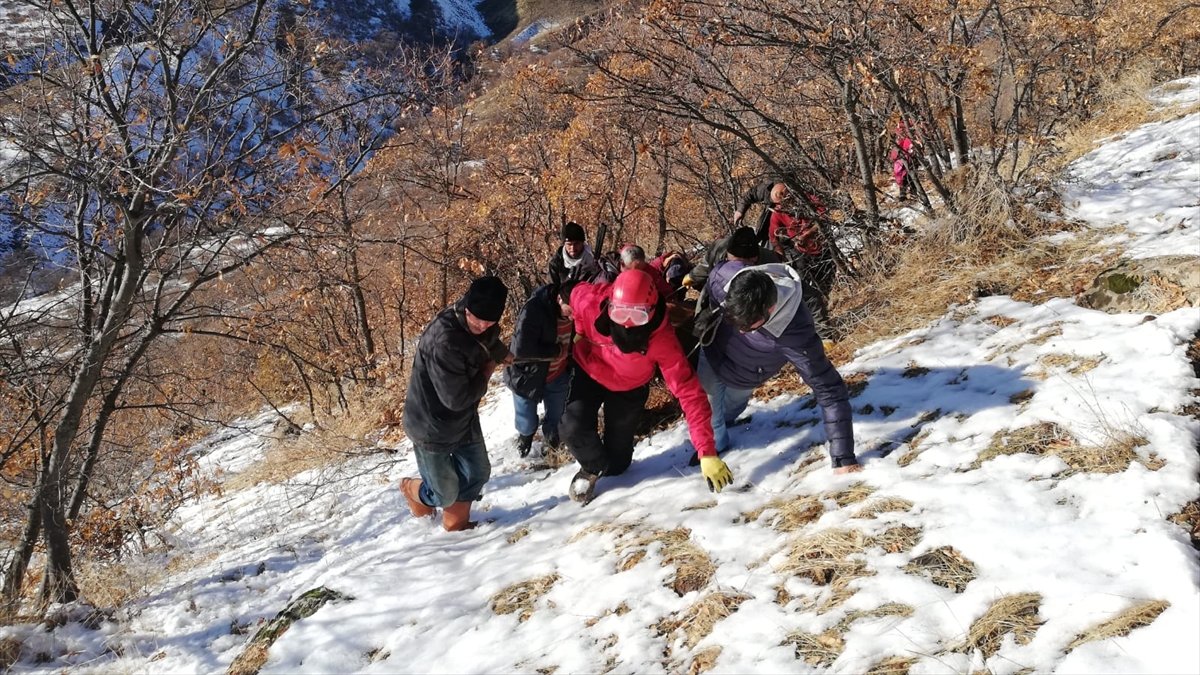 Bingöl'de uçuruma yuvarlanan gebe inek kurtarıldı