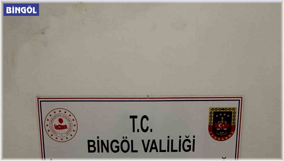 Bingöl'de uyuşturucu madde ele geçirildi: 1 gözaltı