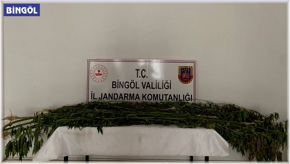 Bingöl'de uyuşturucu madde ele geçirildi