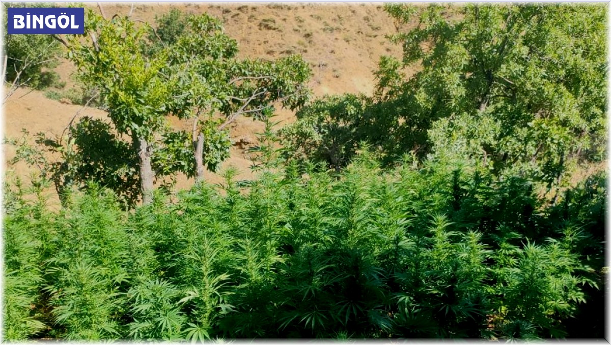 Bingöl'de uyuşturucu madde ele geçirildi