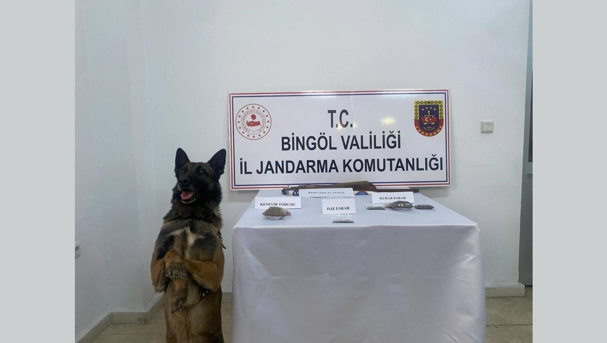 Bingöl'de uyuşturucu madde ve 3 adet tüfekle ele geçirildi