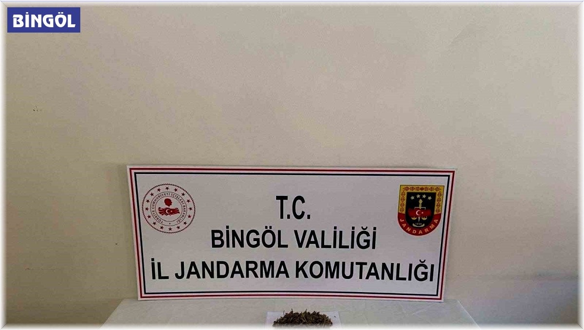 Bingöl'de uyuşturucu madde ve silah ele geçirildi: 2 gözaltı