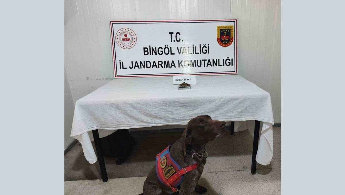 Bingöl'de uyuşturucu madde ve tüfek ele geçirildi