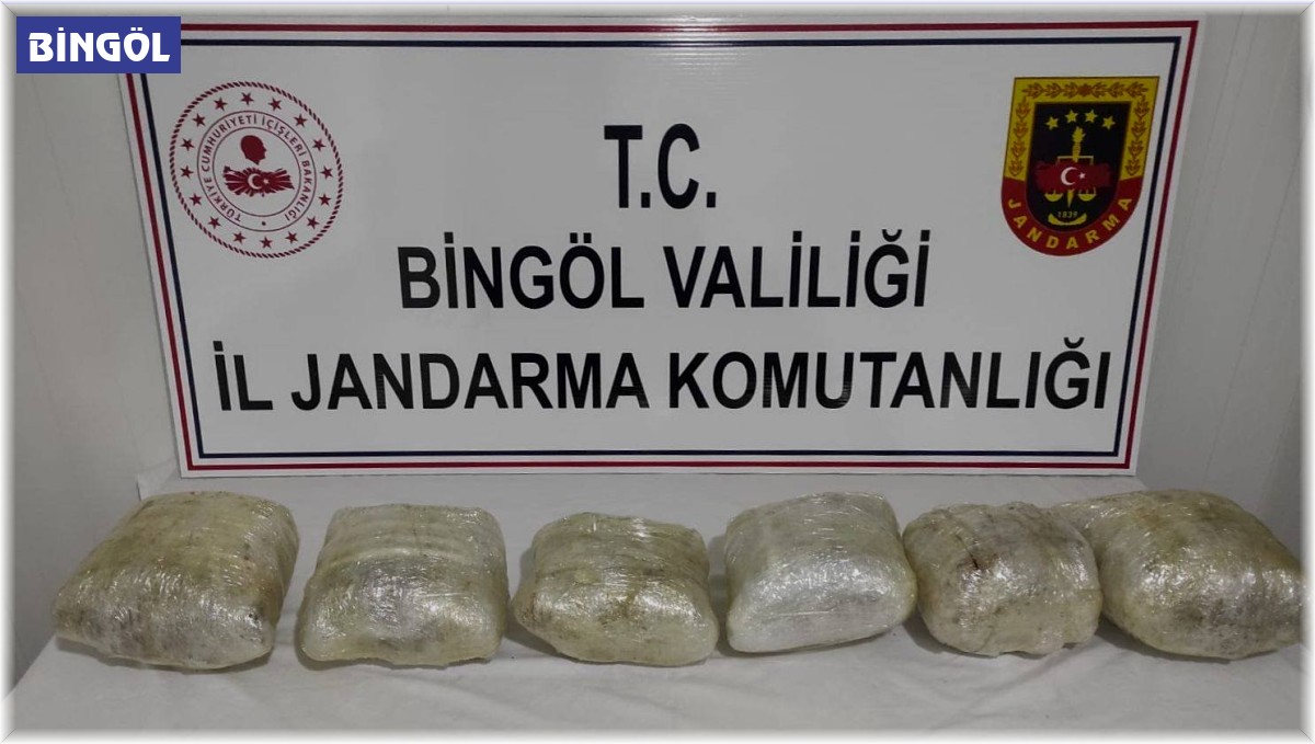 Bingöl'de uyuşturucu operasyonu: 2 gözaltı