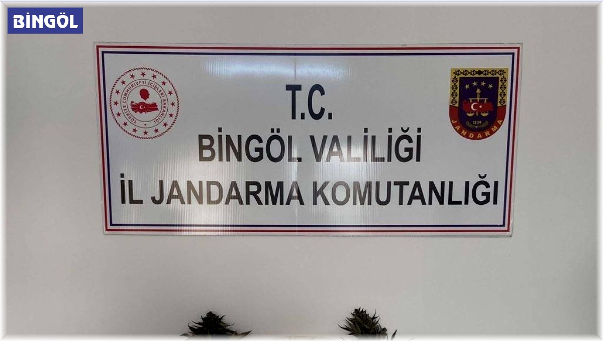 Bingöl'de uyuşturucu operasyonu