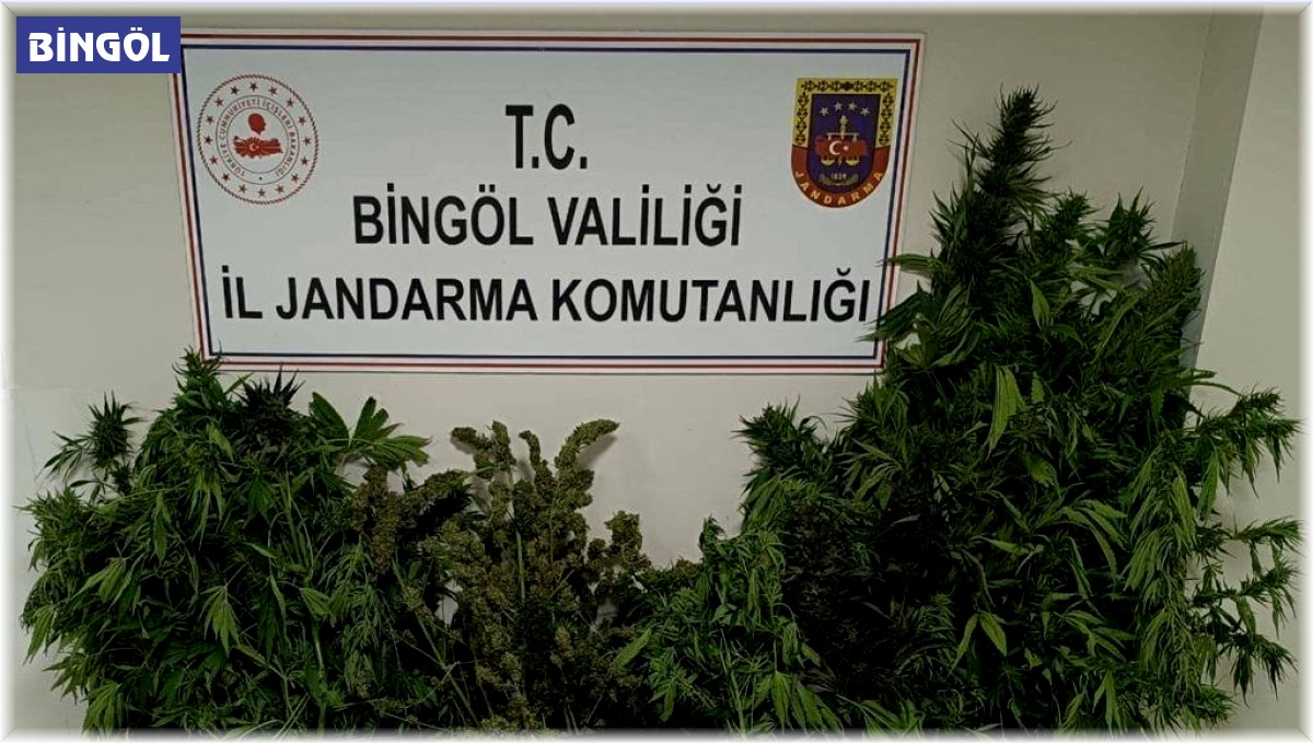 Bingöl'de uyuşturucu operasyonu