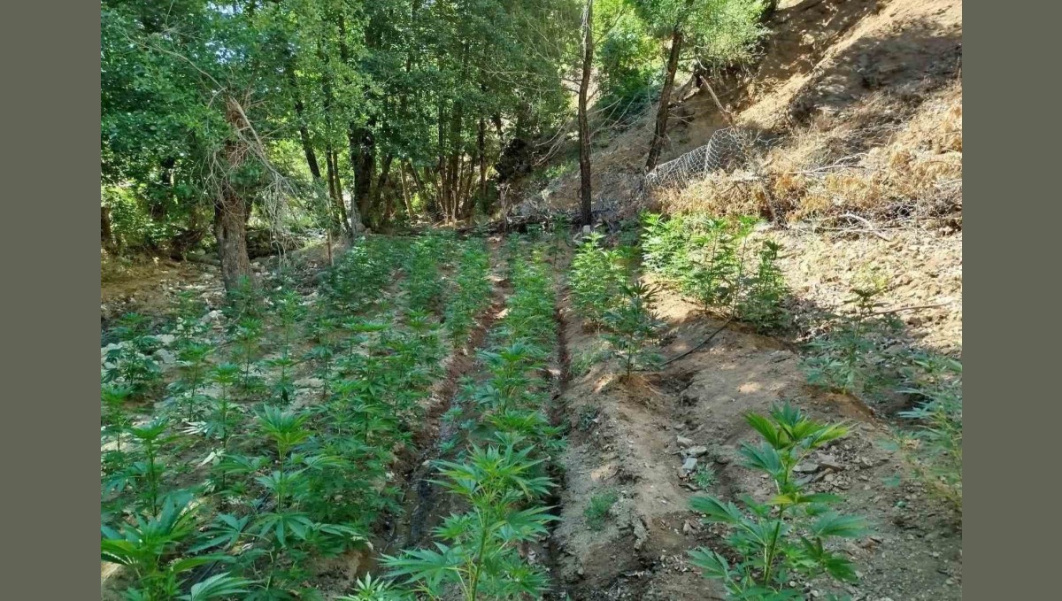 Bingöl'de uyuşturucu operasyonu