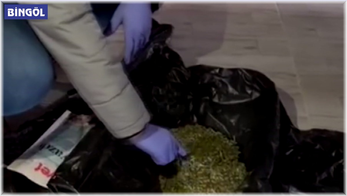 Bingöl'de uyuşturucu operasyonu: 4 tutuklama