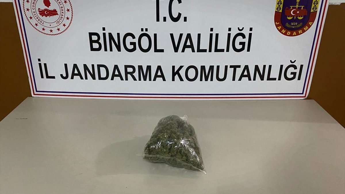 Bingöl'de uyuşturucu operasyonunda 1 şüpheli yakalandı