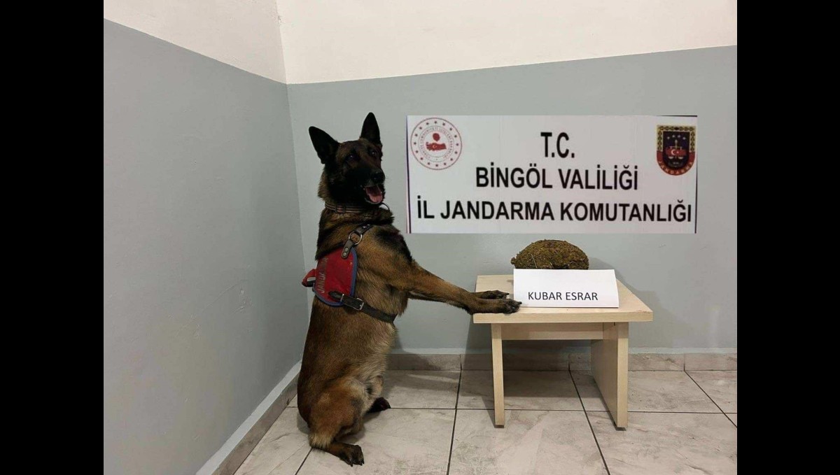 Bingöl'de uyuşturucu ve aranan şahıslara yönelik çalışma