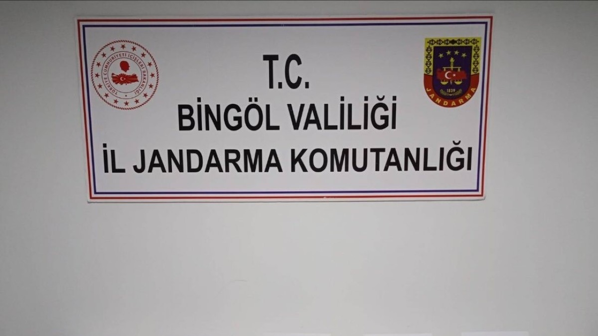 Bingöl'de uyuşturucu ve ruhsatsız silah operasyonları