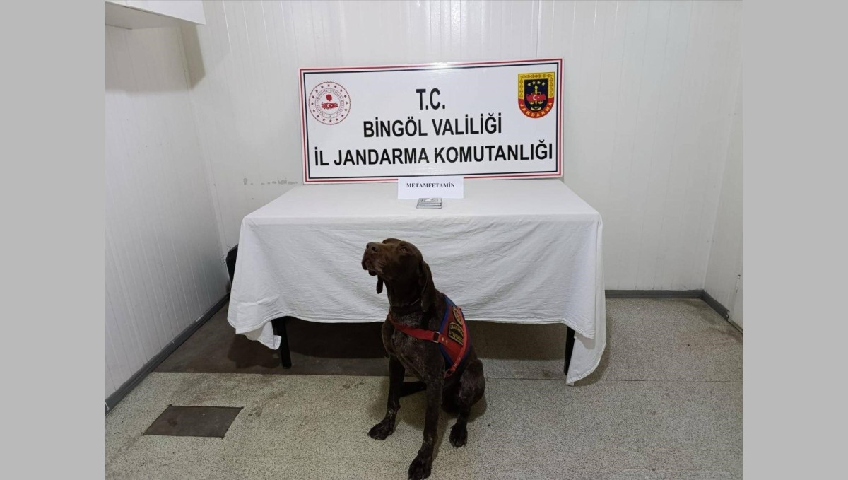 Bingöl'de uyuşturucuyla mücadele: 2 gözaltı