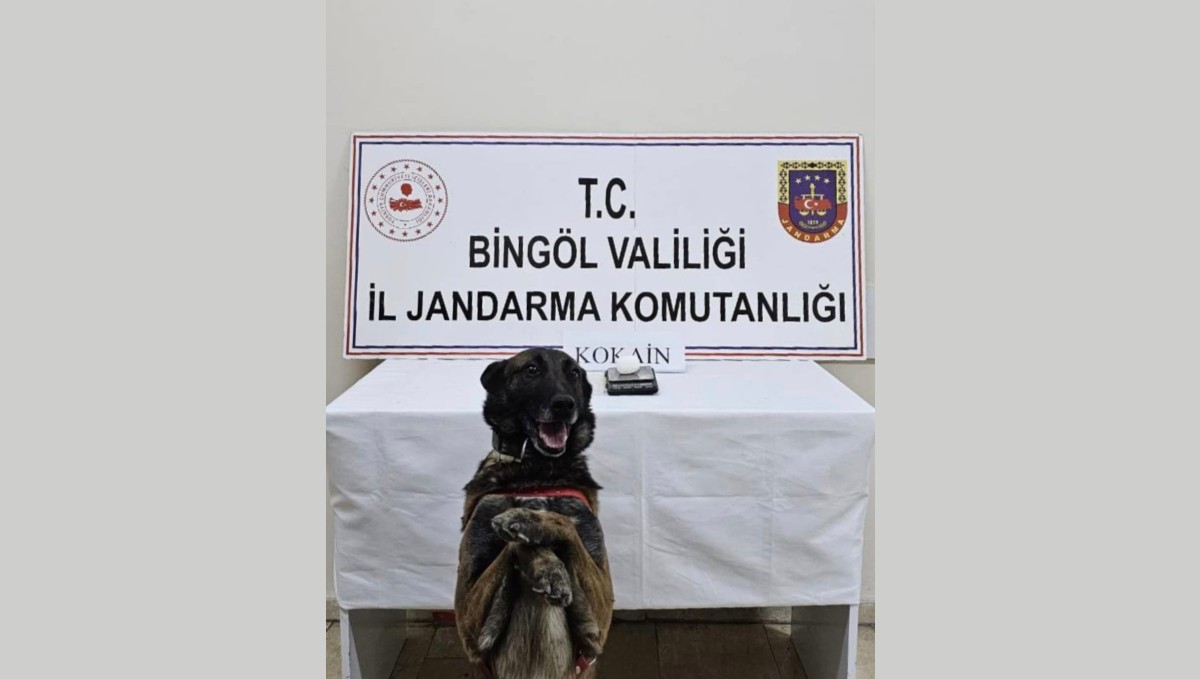 Bingöl'de uyuşturucuyla mücadele