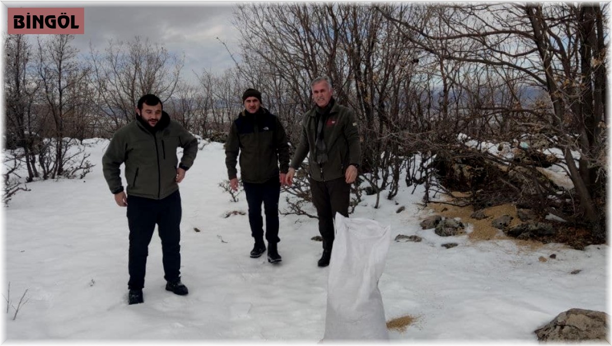 Bingöl'de yaban hayvanları için doğaya yem bırakıldı