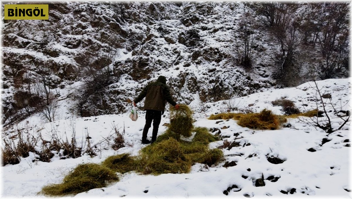Bingöl'de yaban hayvanları için doğaya yem bırakıldı