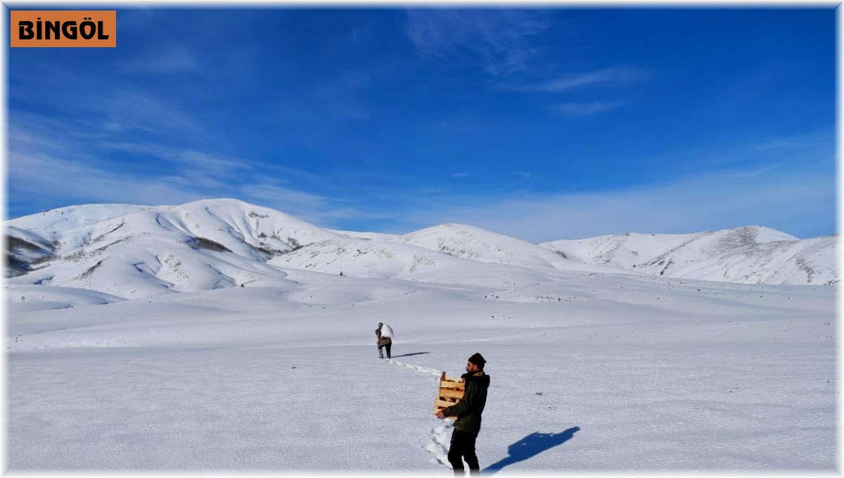 Bingöl'de yaban hayvanları için doğaya yem bırakıldı