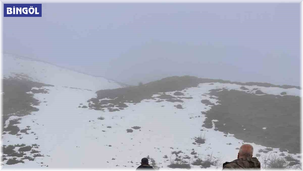 Bingöl'de yaban hayvanları için yemleme çalışması sürüyor