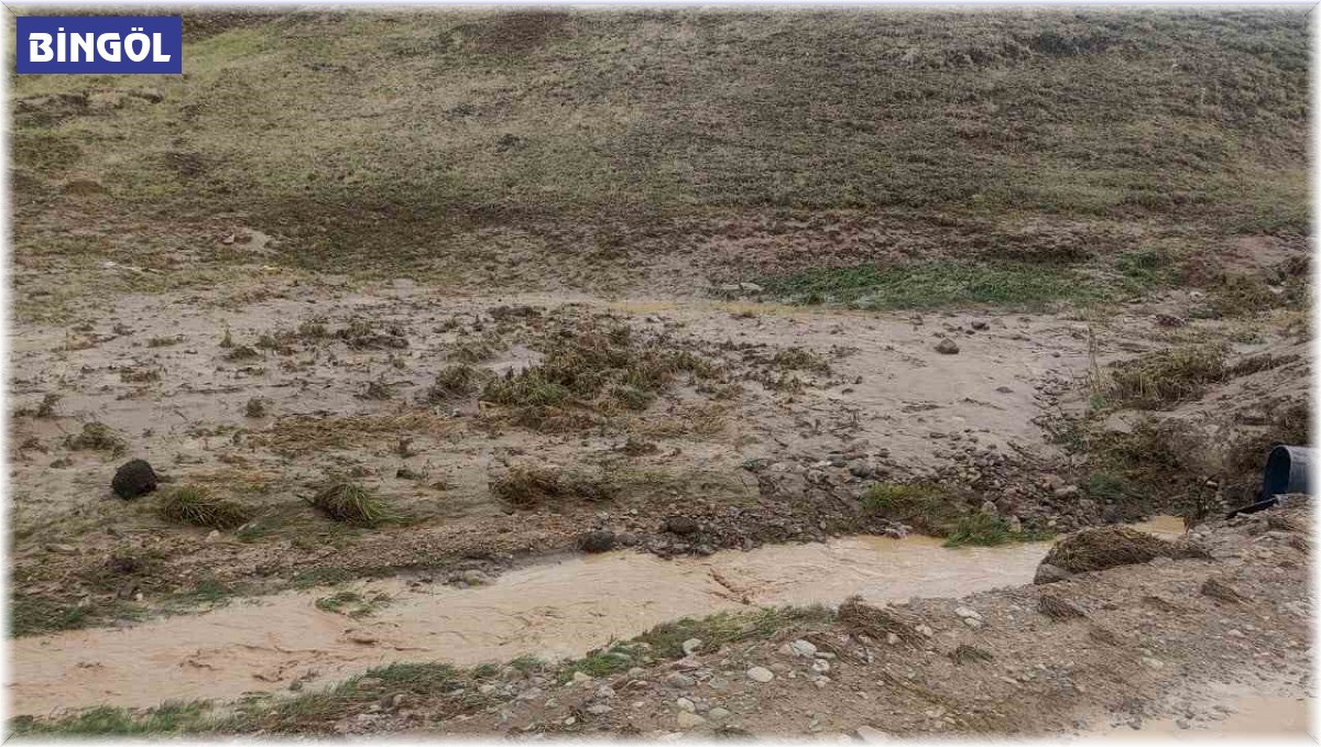 Bingöl'de yağmurun ardından sel meydana geldi
