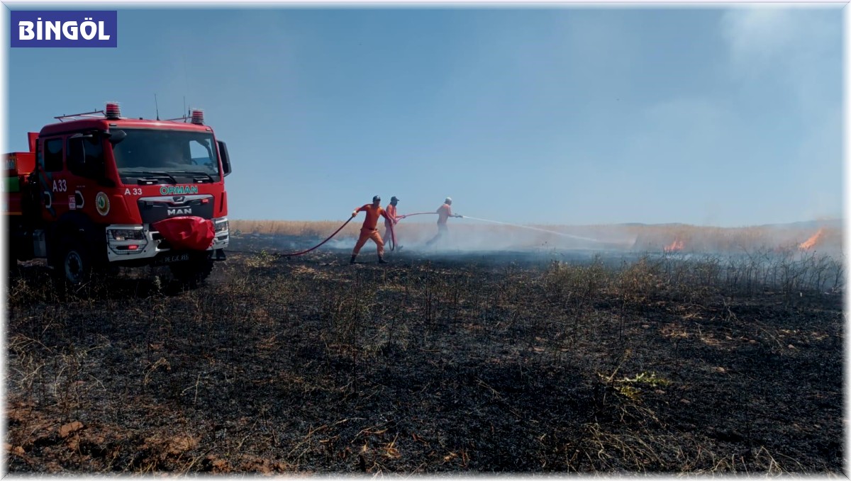 Bingöl'de yaklaşık 100 dönümlük tarım alanı yandı